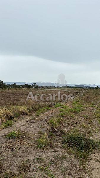 Terreno Praia  Santa Helena 2