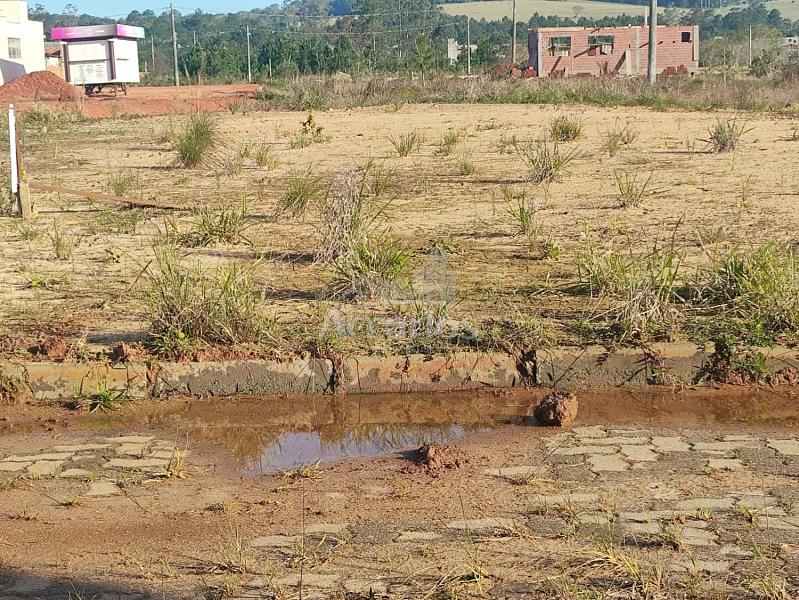 Terreno Vila S�o Jo�o 10