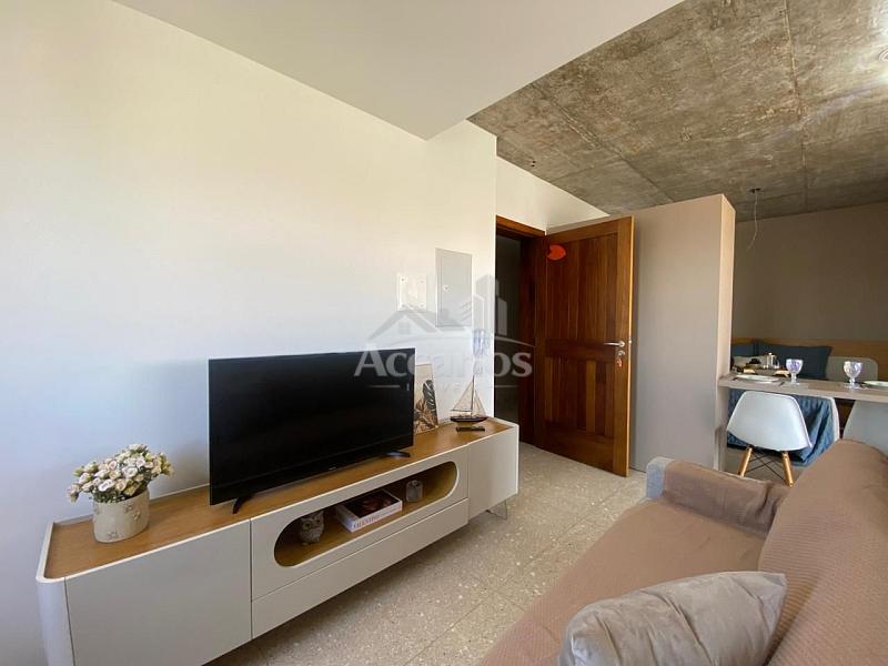 HARMONIA FLATS | CENTRO 66