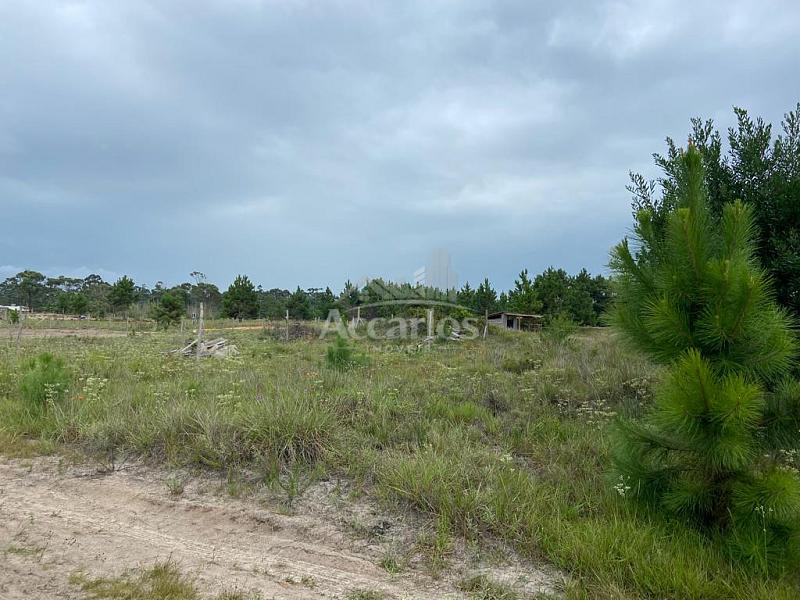 Terreno Praia Tupinamb� 2