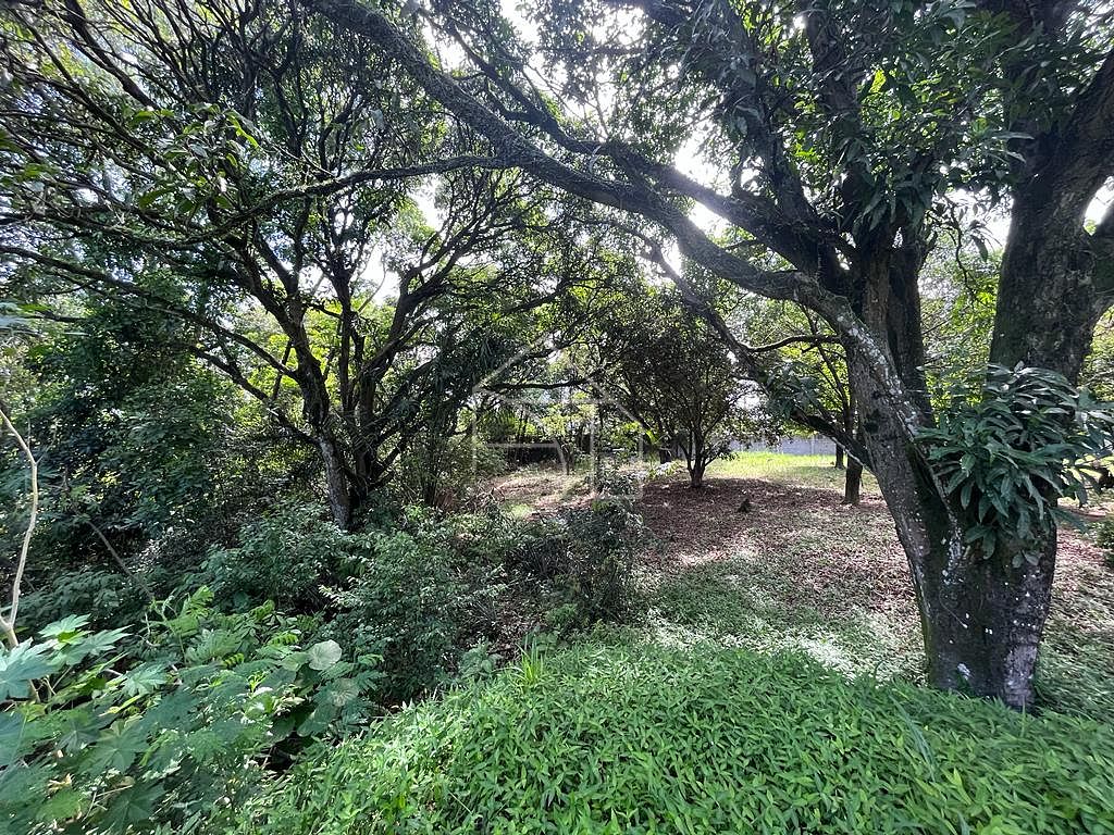 Loteamento e Condomínio, 1 hectares - Foto 18