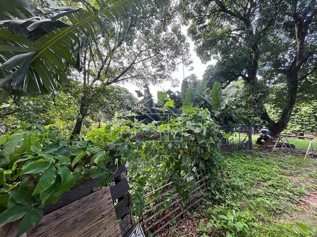 Loteamento e Condomínio, 1 hectares - Foto 13