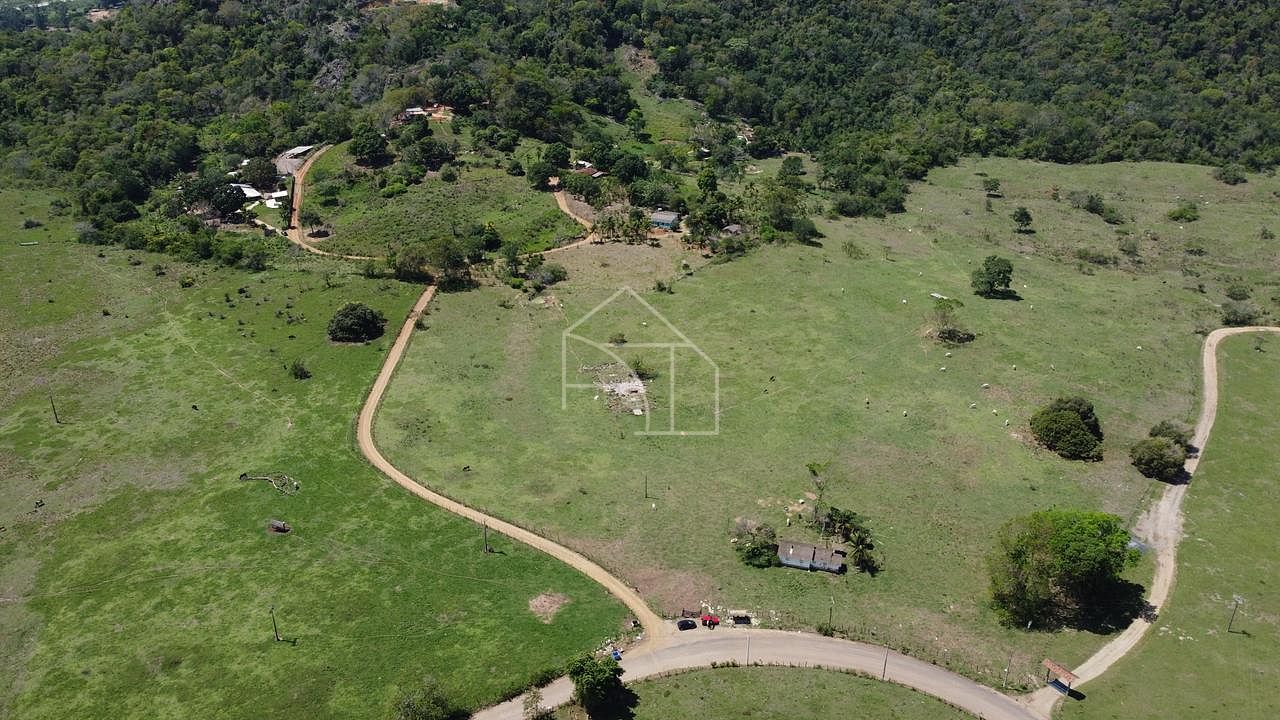 Fazenda, 66 hectares - Foto 9