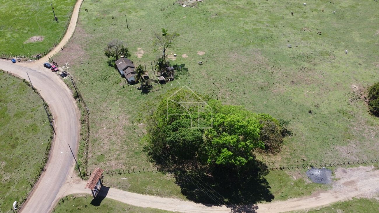 Fazenda, 66 hectares - Foto 22