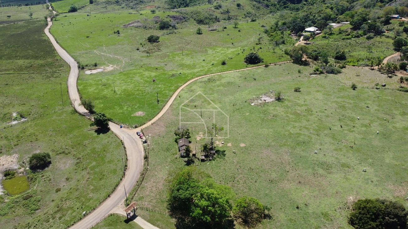 Fazenda, 66 hectares - Foto 27
