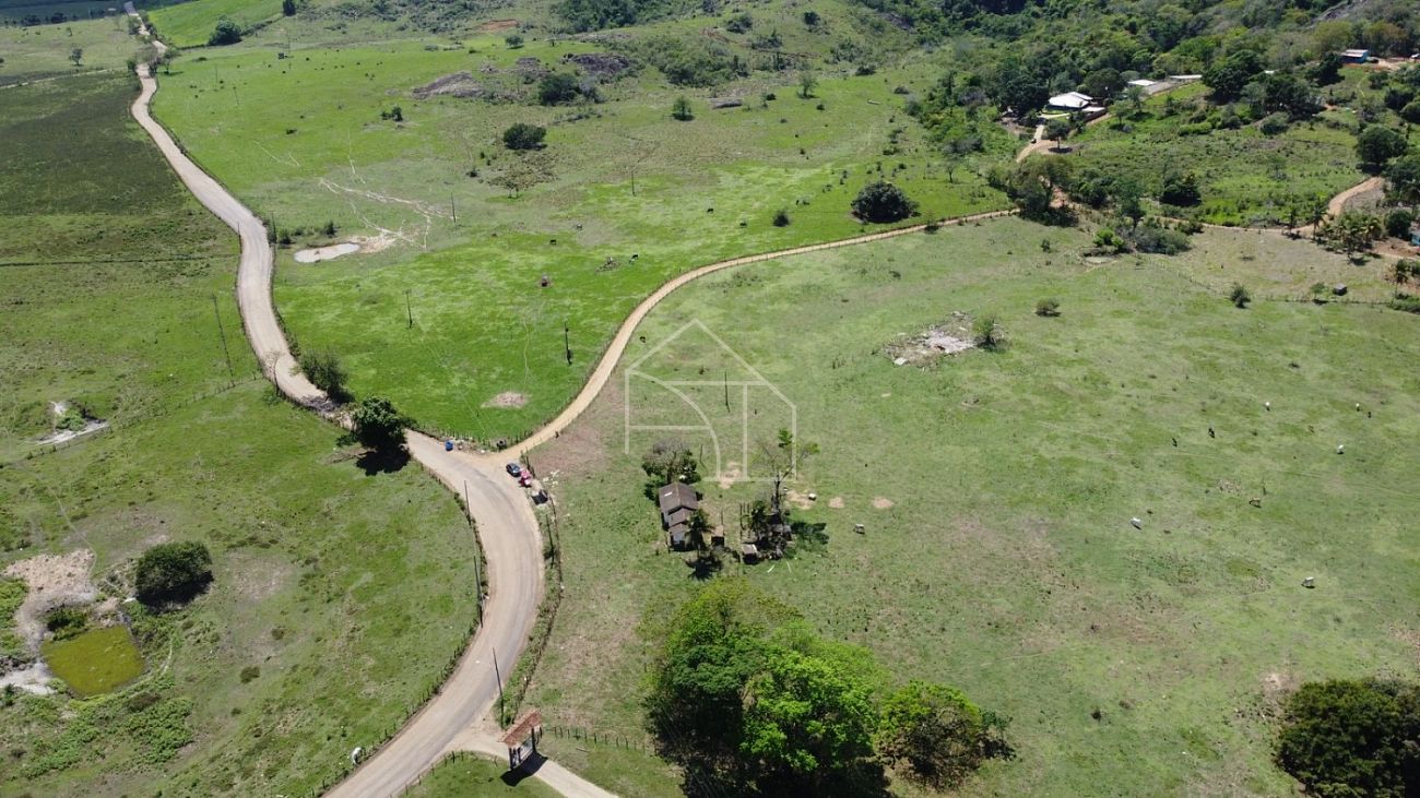 Fazenda, 66 hectares - Foto 31