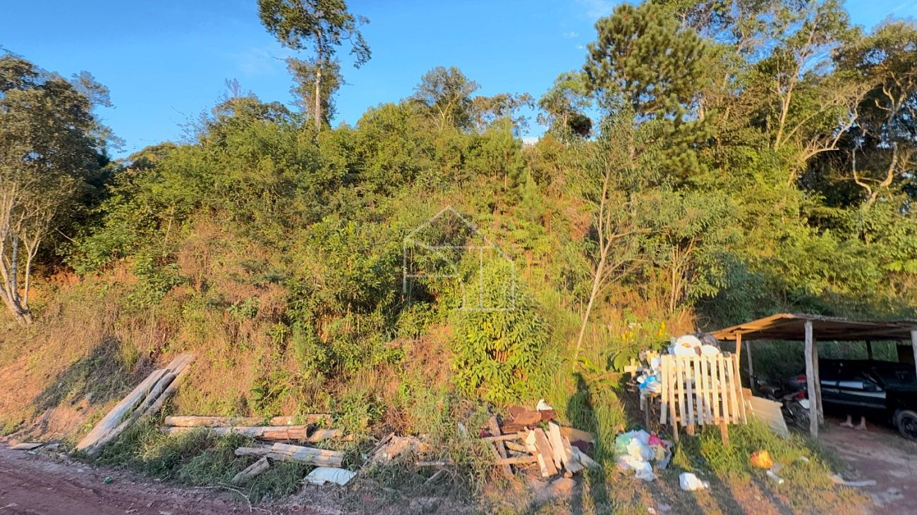 Terreno, 6000 m² - Foto 7