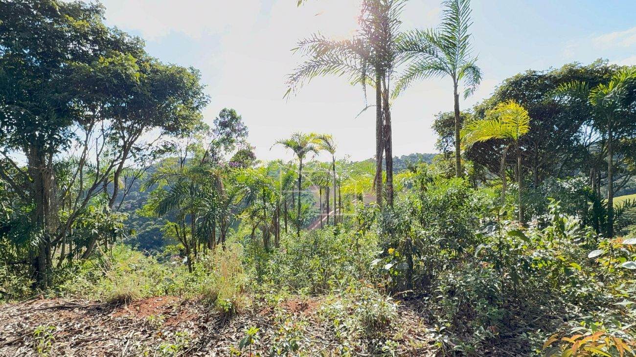 Chácara, 1 hectares - Foto 1