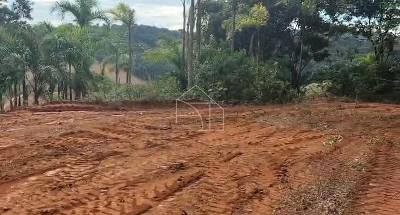 Chácara, 1 hectares - Foto 4