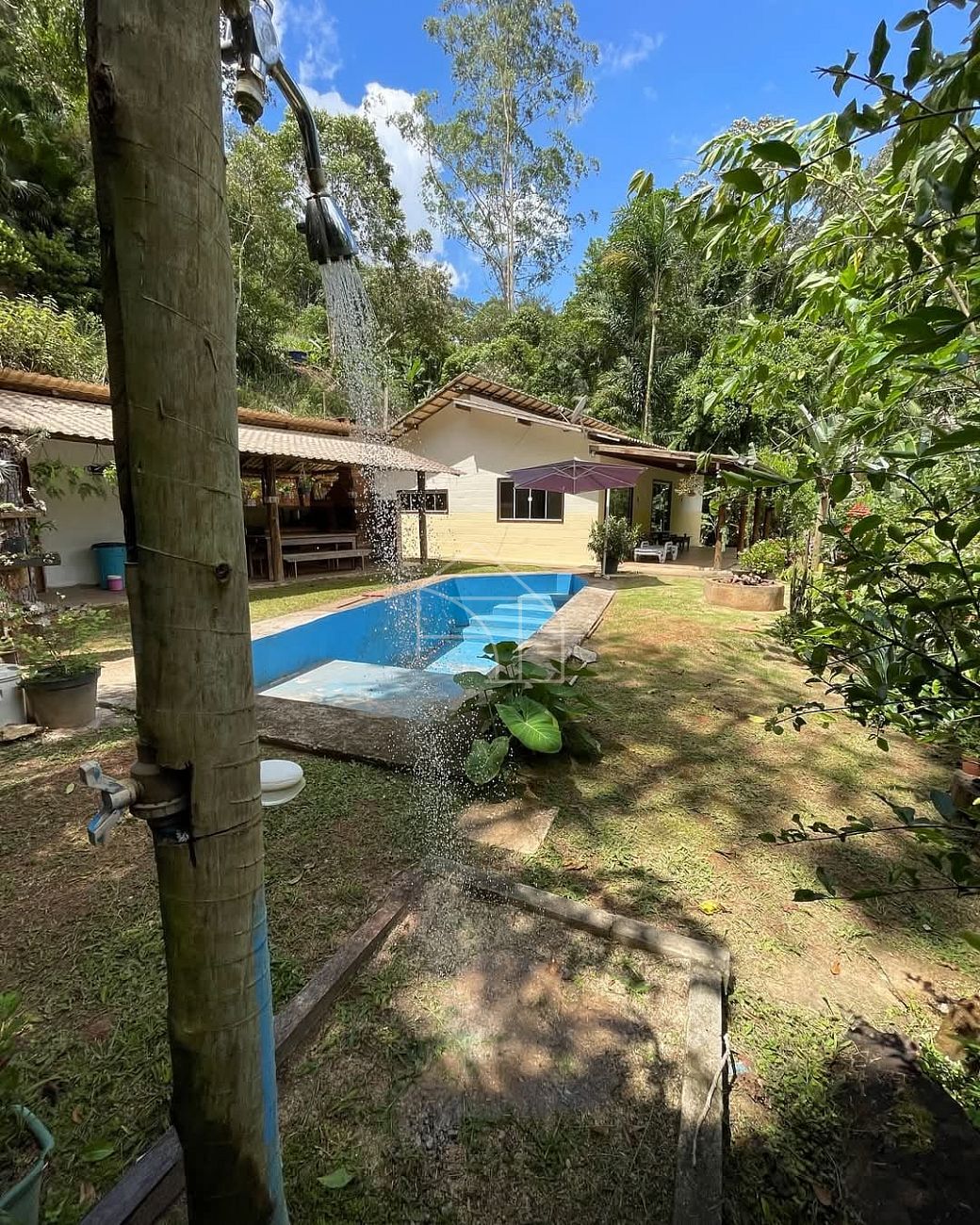 Sítio, 3 hectares - Foto 25
