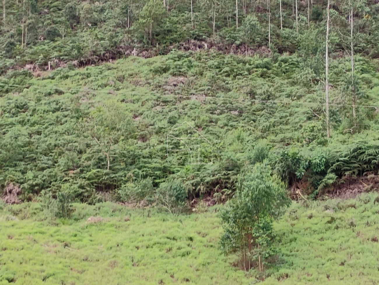 Terreno à venda, 56m² - Foto 6