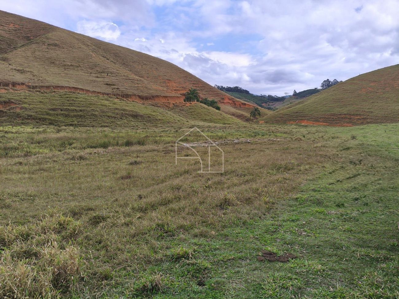 Terreno, 5 hectares - Foto 14