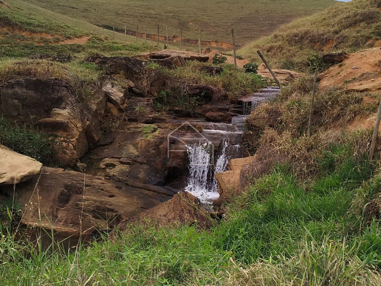 Terreno, 5 hectares - Foto 6