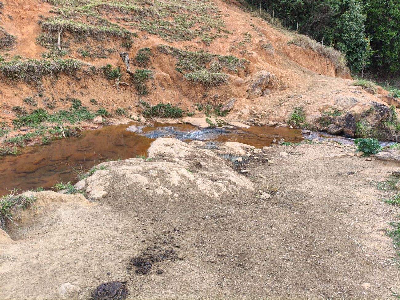 Terreno, 5 hectares - Foto 4