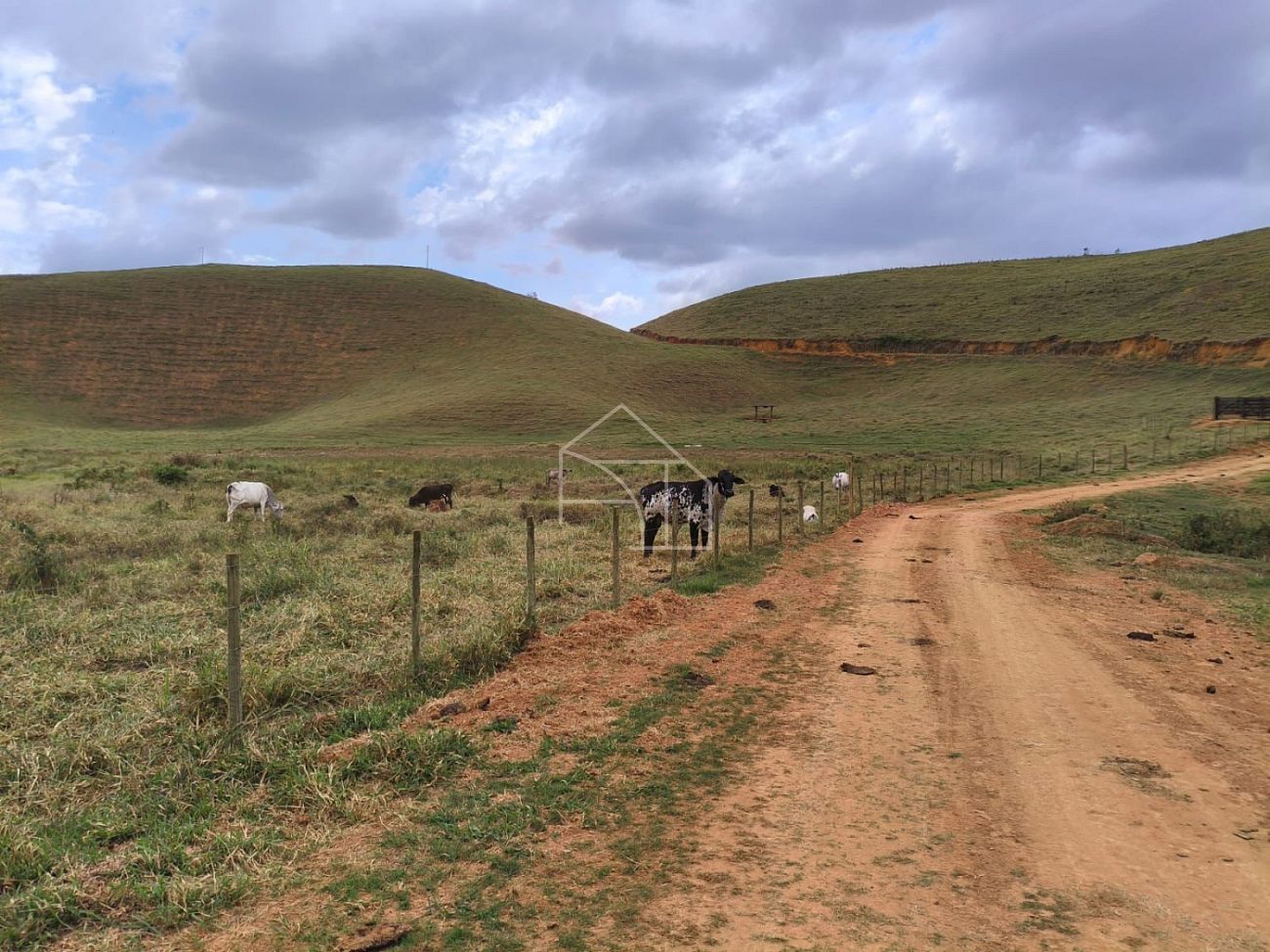 Terreno, 5 hectares - Foto 16