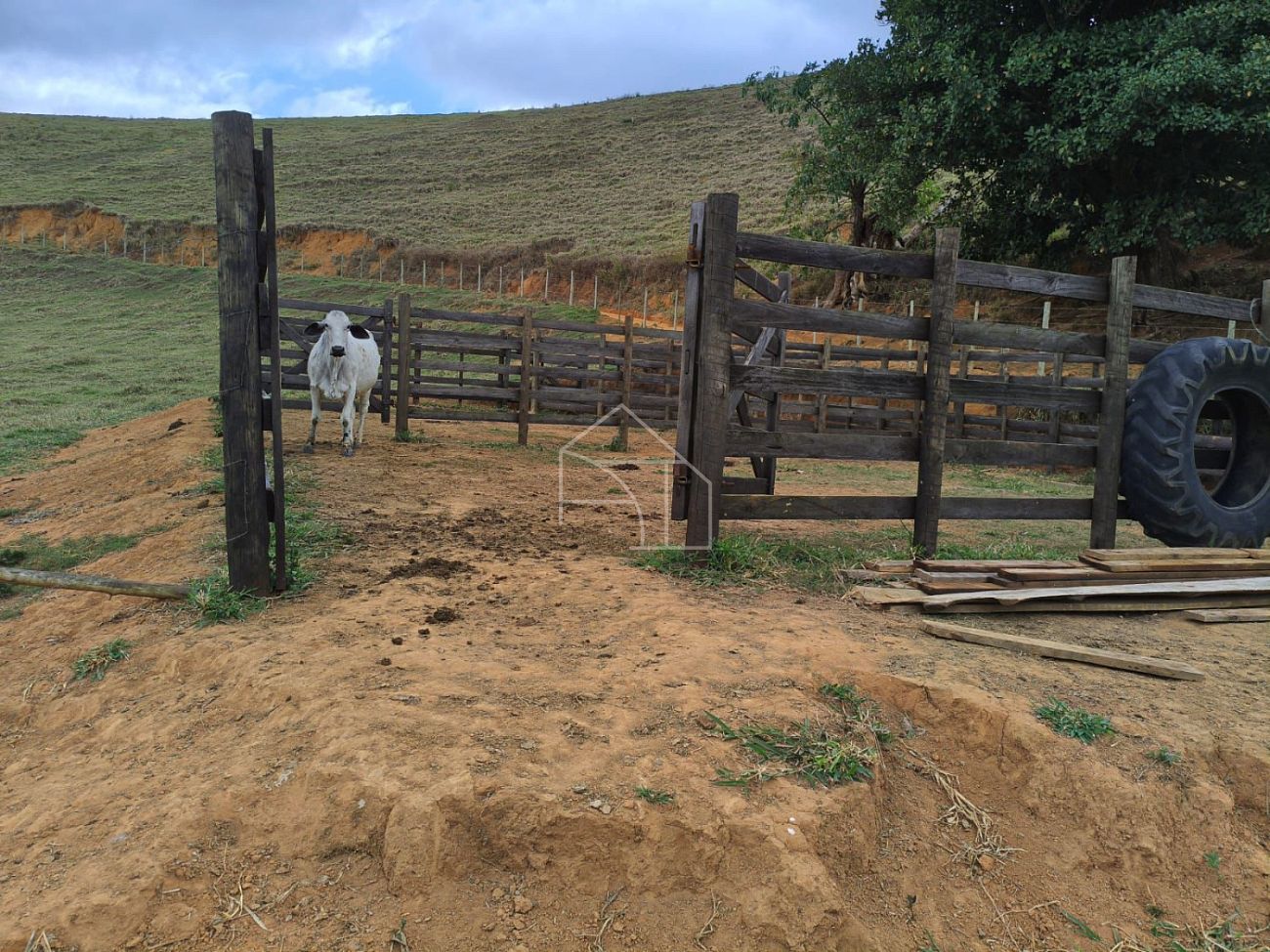 Terreno, 5 hectares - Foto 7