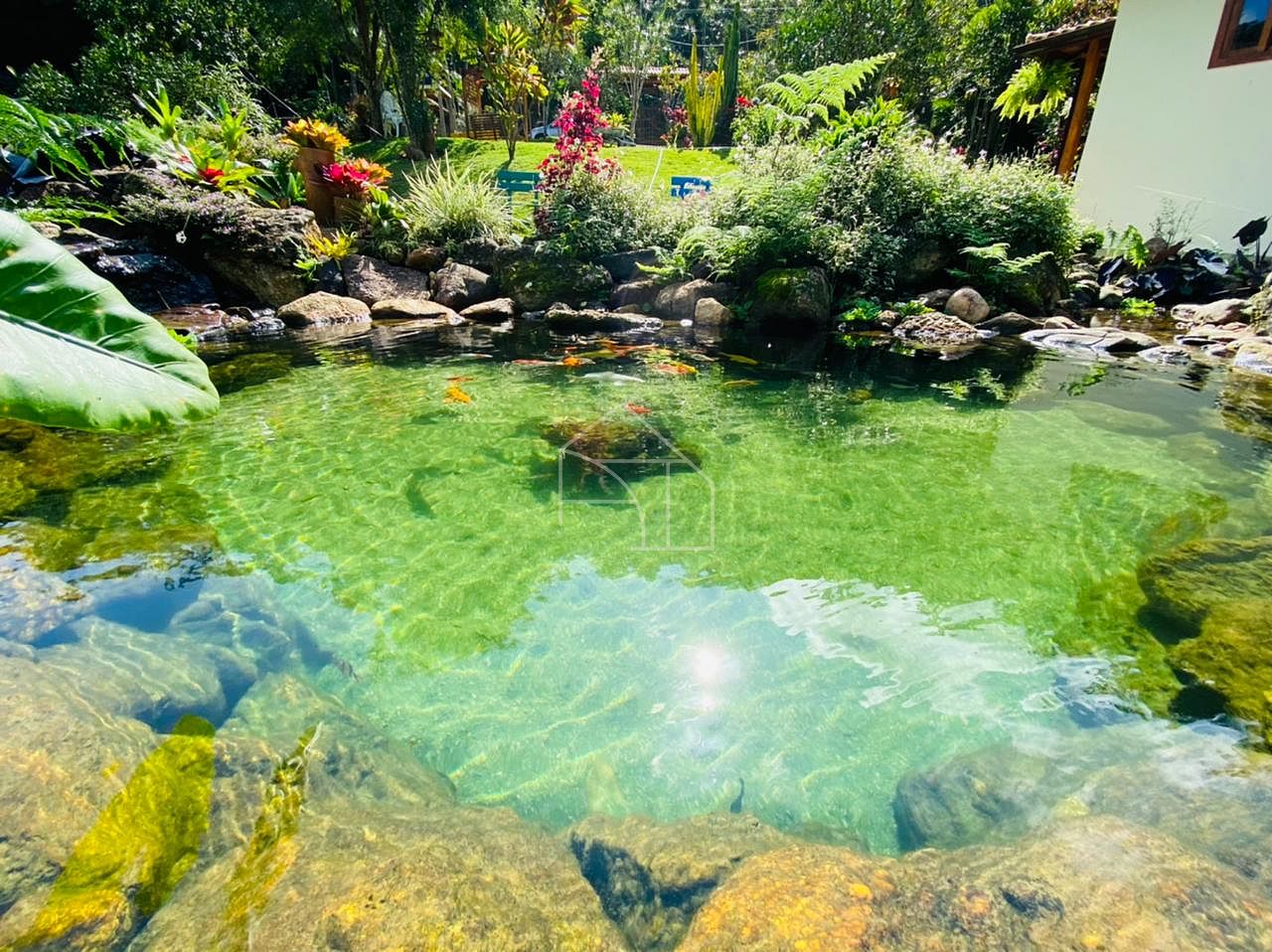 Sítio, 2 hectares - Foto 6