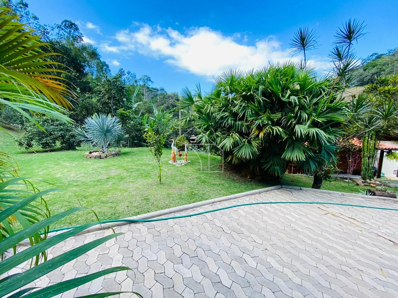 Sítio, 2 hectares - Foto 10