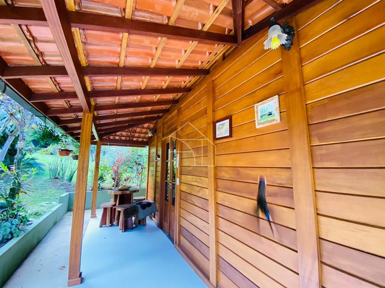 Sítio, 2 hectares - Foto 7