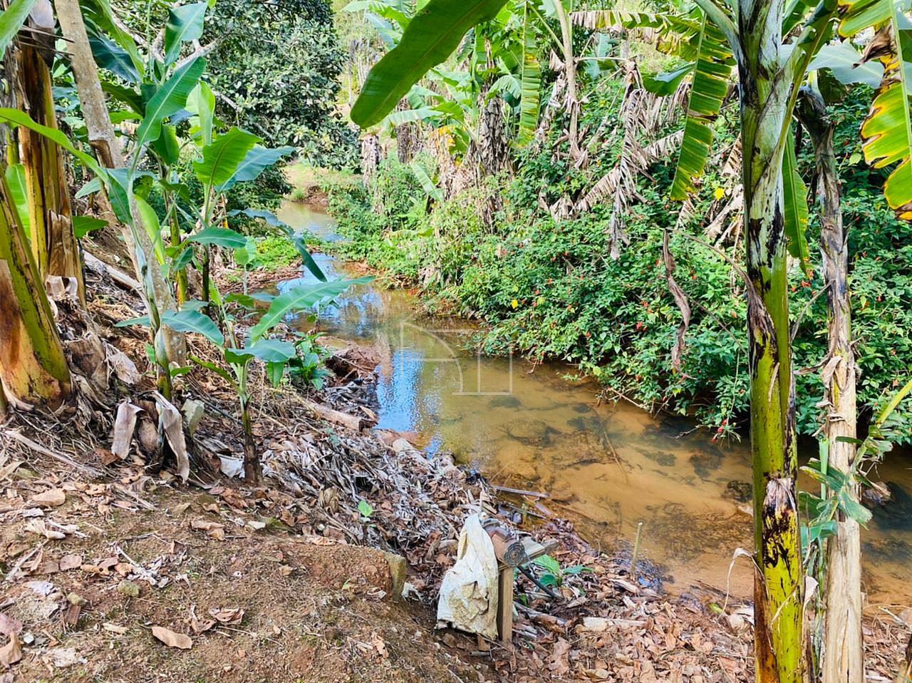 Sítio, 2 hectares - Foto 9