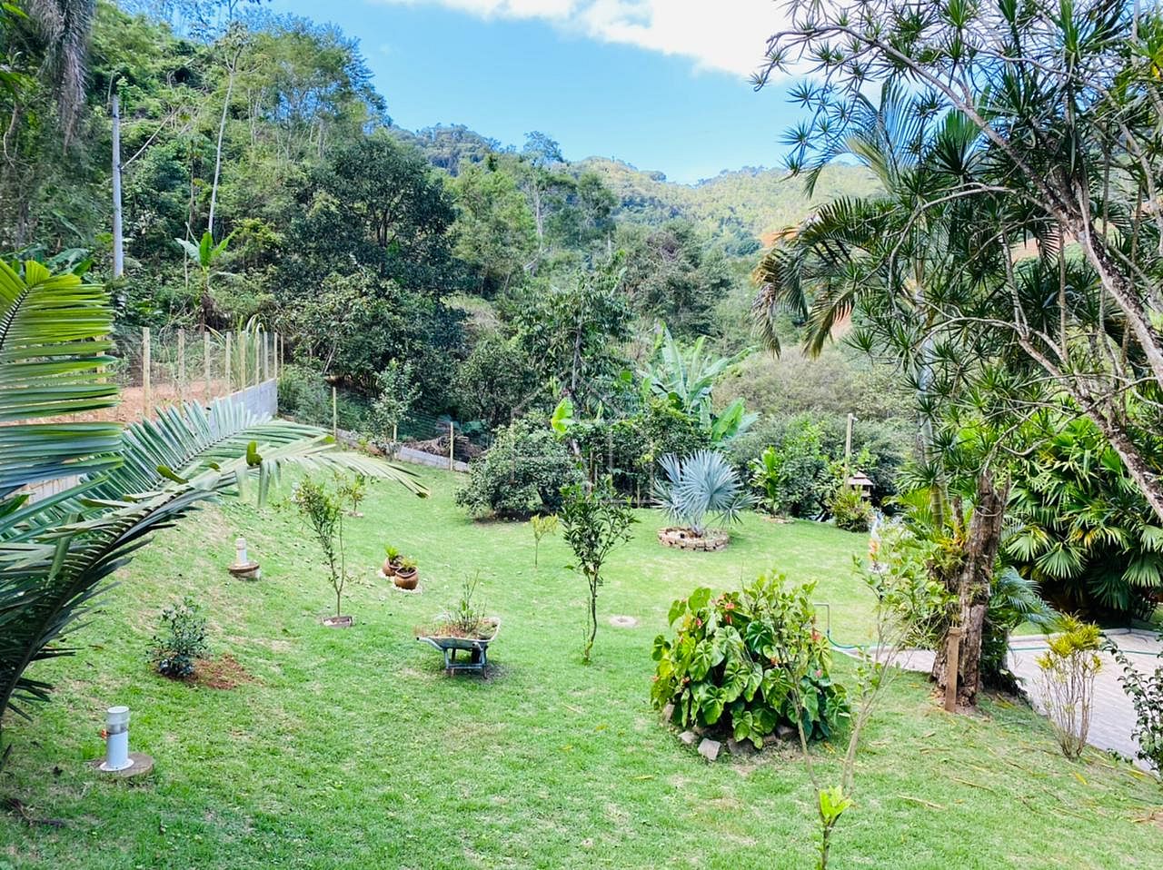 Sítio, 2 hectares - Foto 11