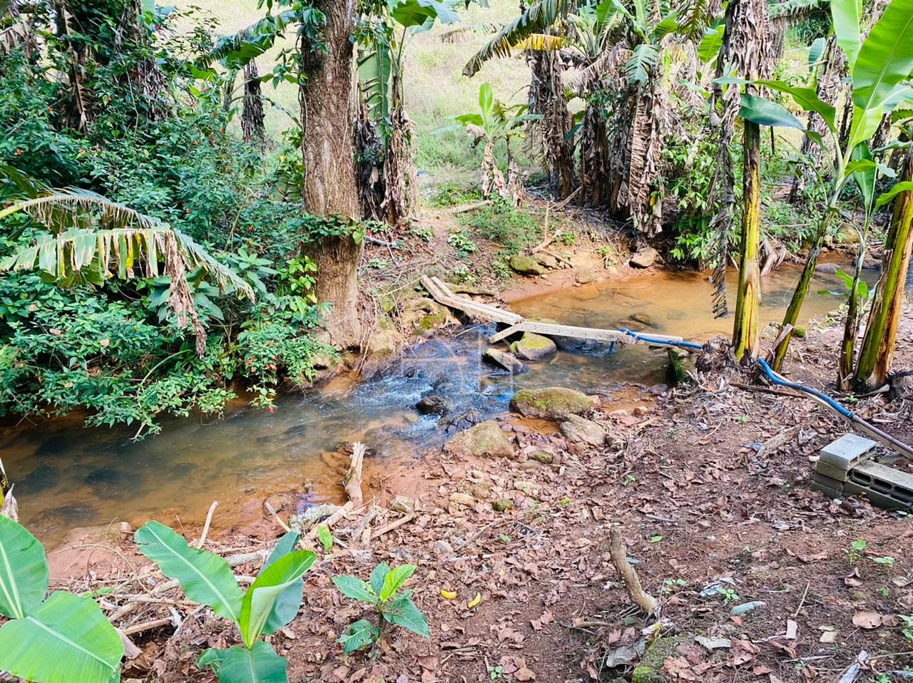 Sítio, 2 hectares - Foto 13