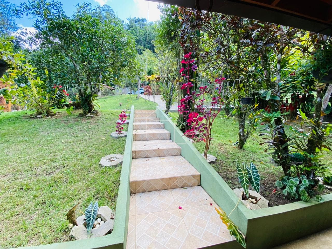 Sítio, 2 hectares - Foto 19