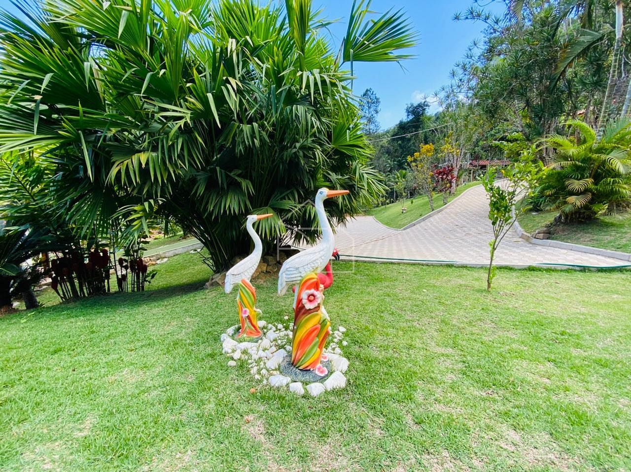 Sítio, 2 hectares - Foto 21