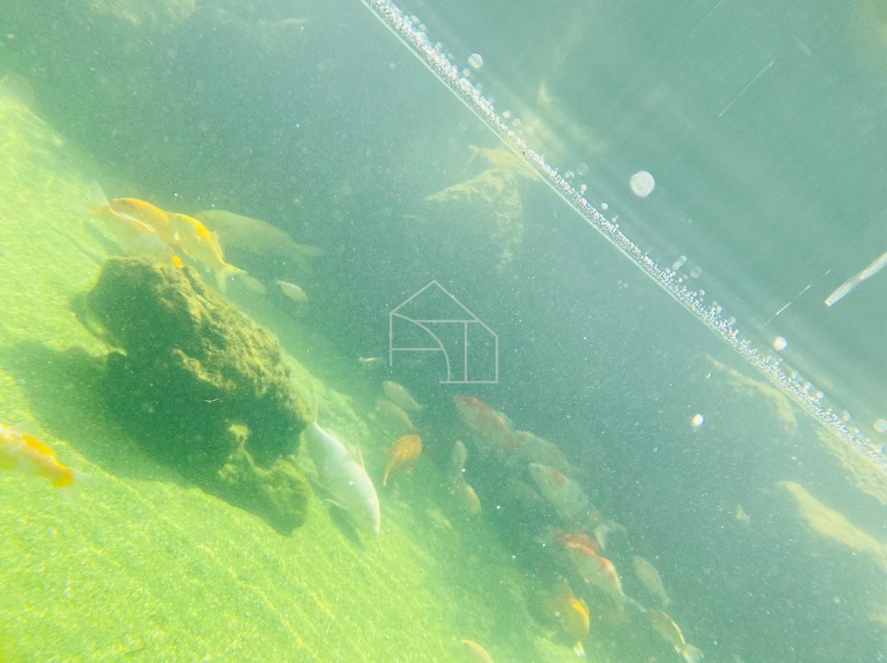 Sítio, 2 hectares - Foto 25