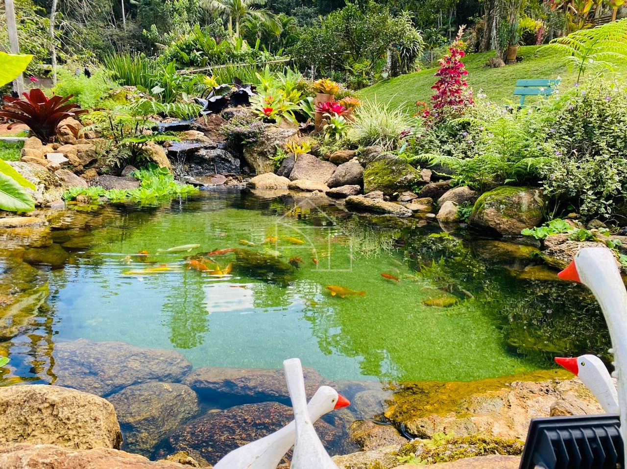 Sítio, 2 hectares - Foto 27