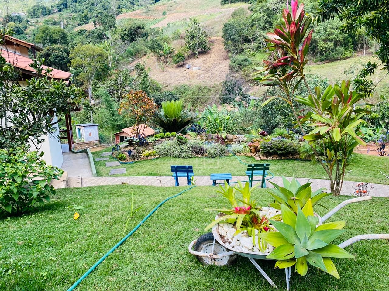 Sítio, 2 hectares - Foto 36