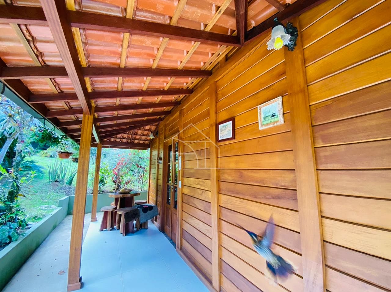 Sítio, 2 hectares - Foto 38