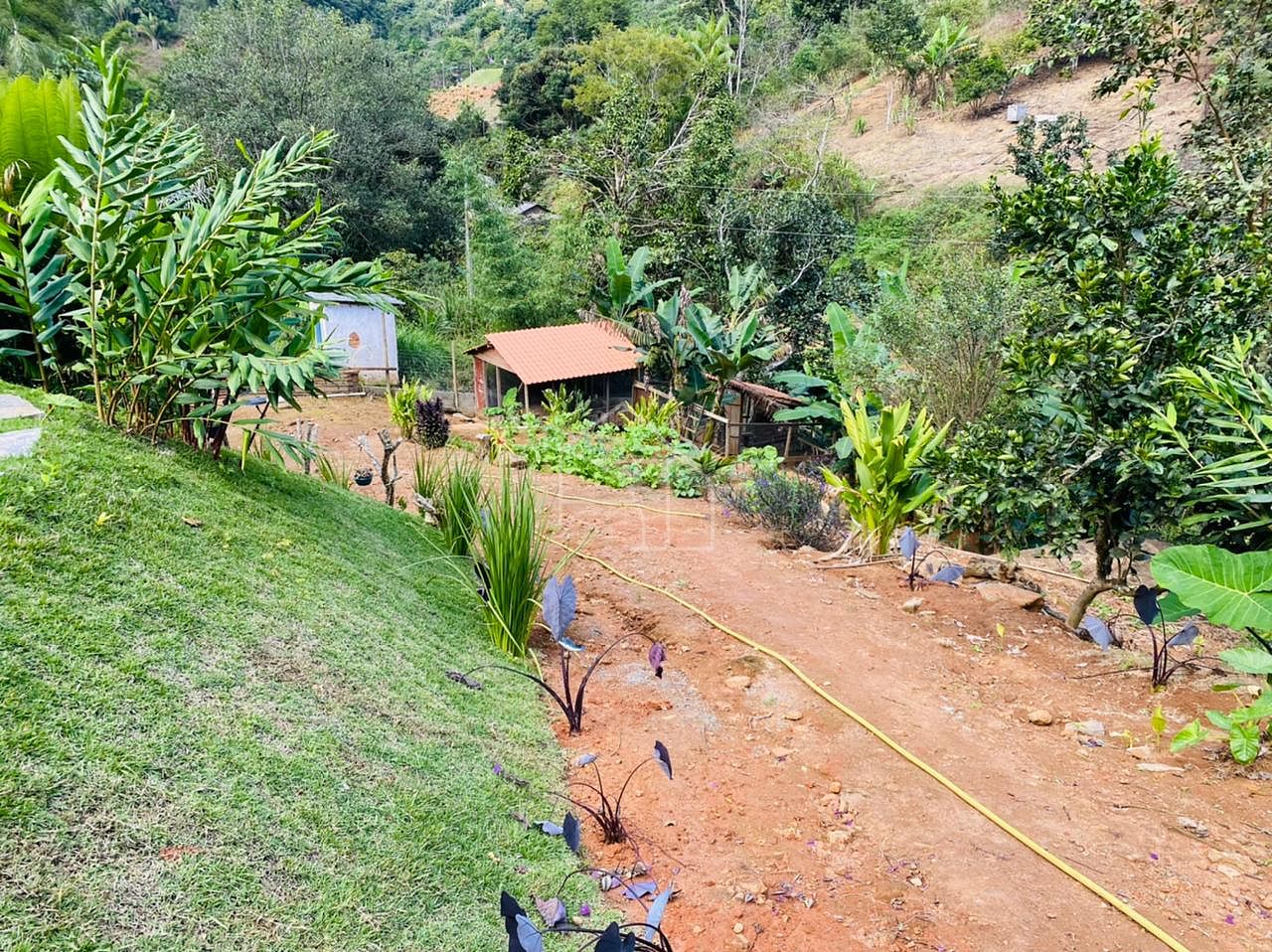 Sítio, 2 hectares - Foto 39