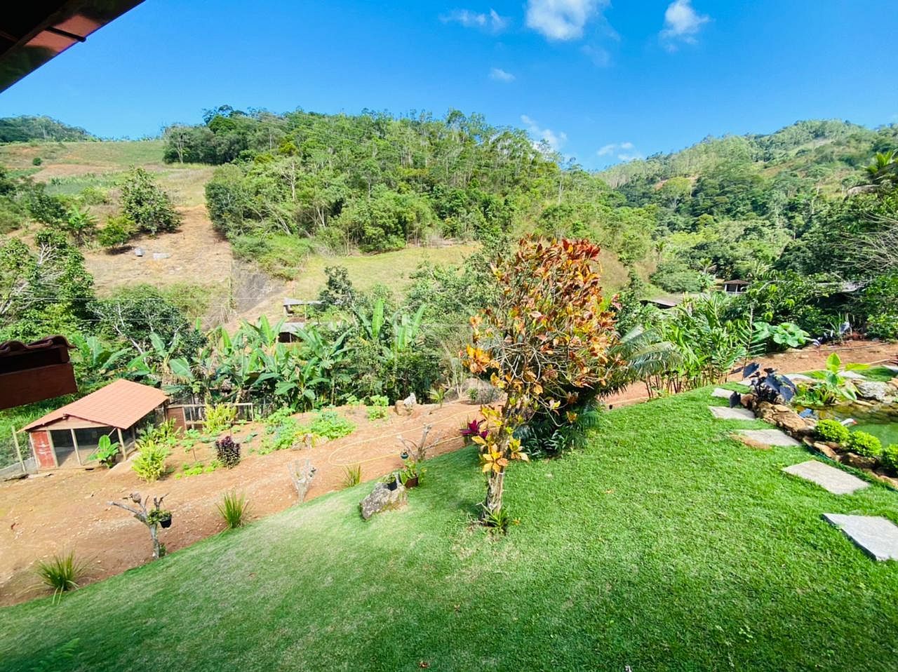 Sítio, 2 hectares - Foto 54