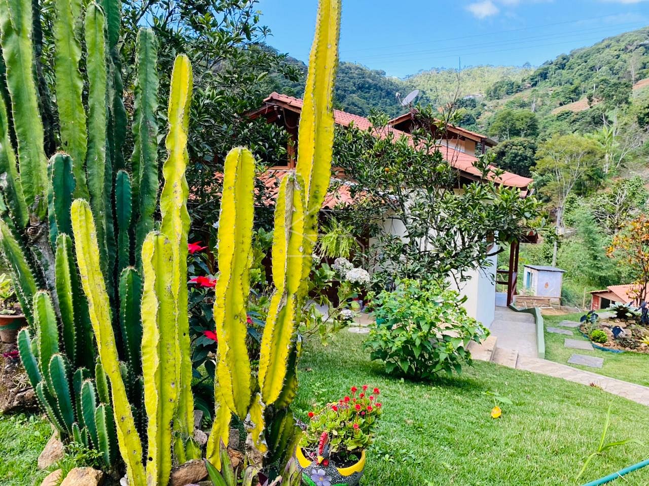 Sítio, 2 hectares - Foto 56