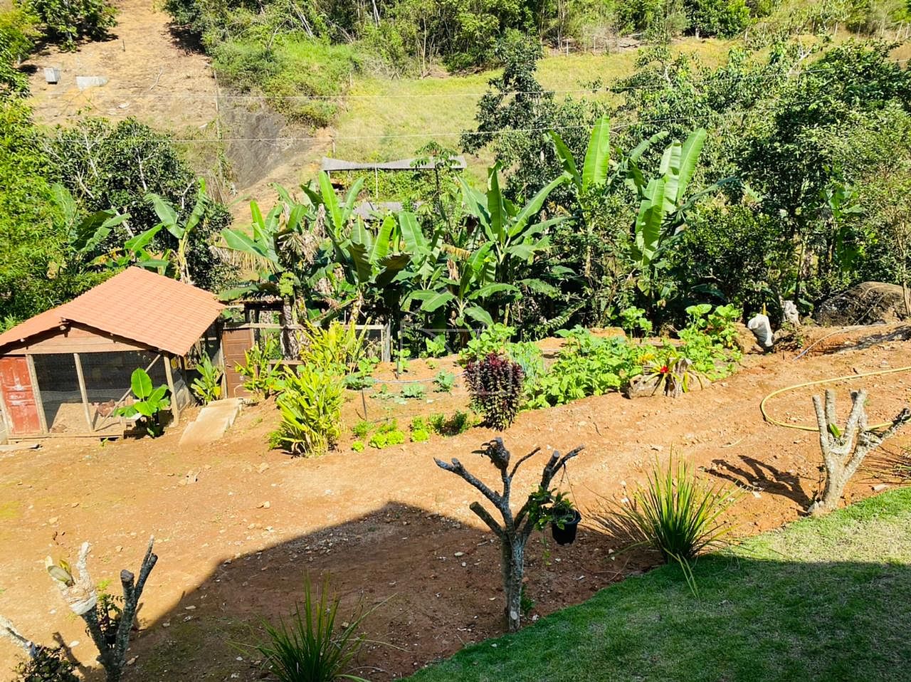 Sítio, 2 hectares - Foto 57