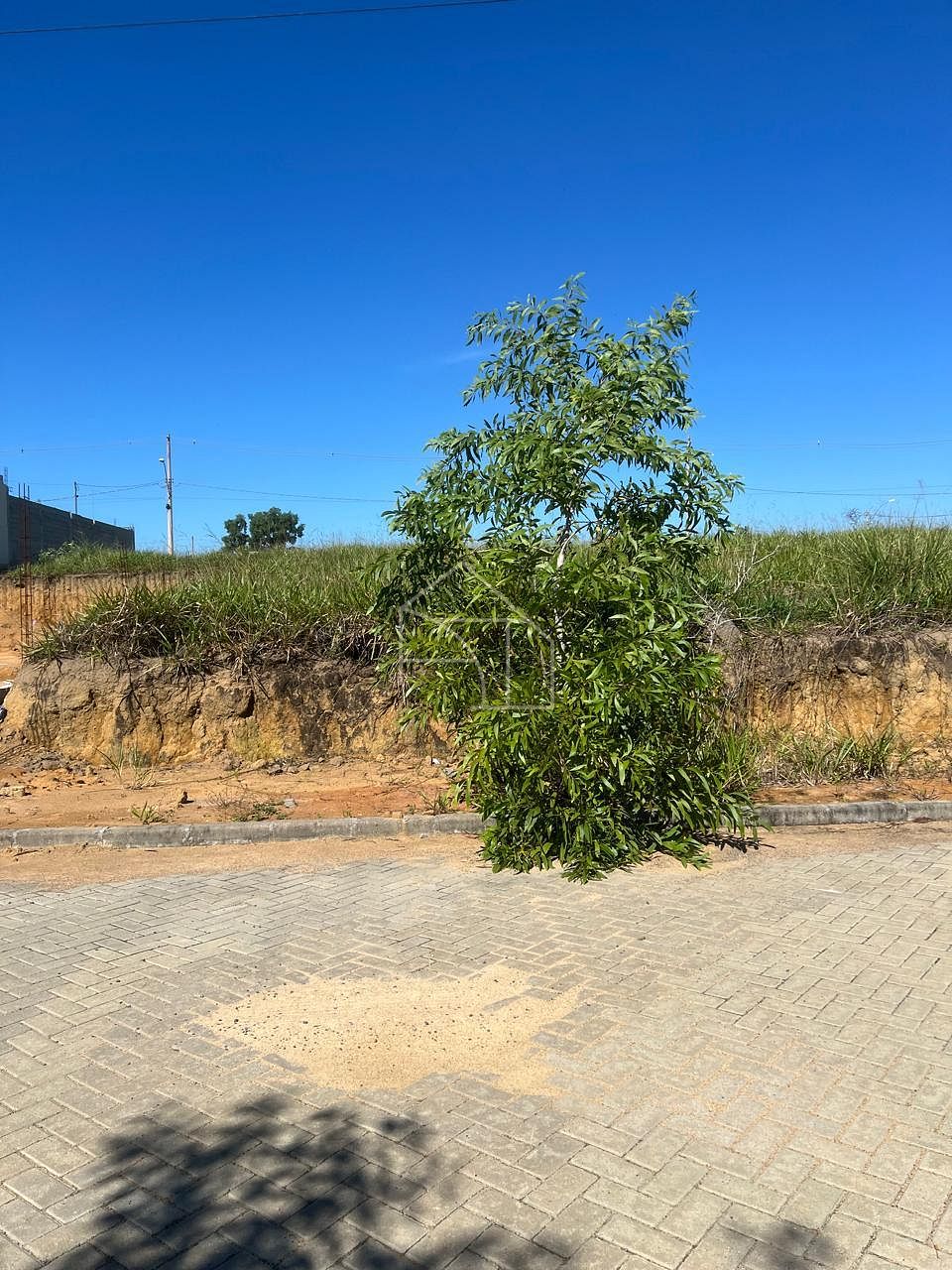 Terreno, 309 m² - Foto 5