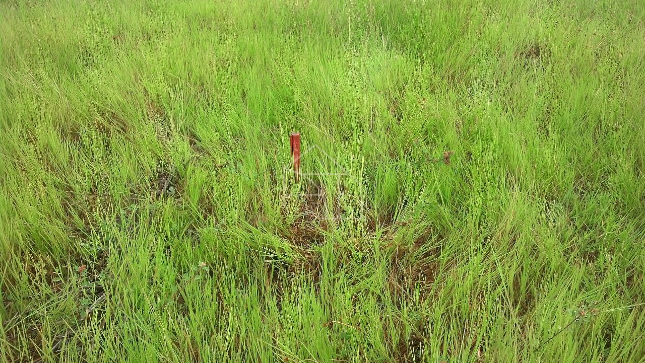 Terreno, 52 m² - Foto 7