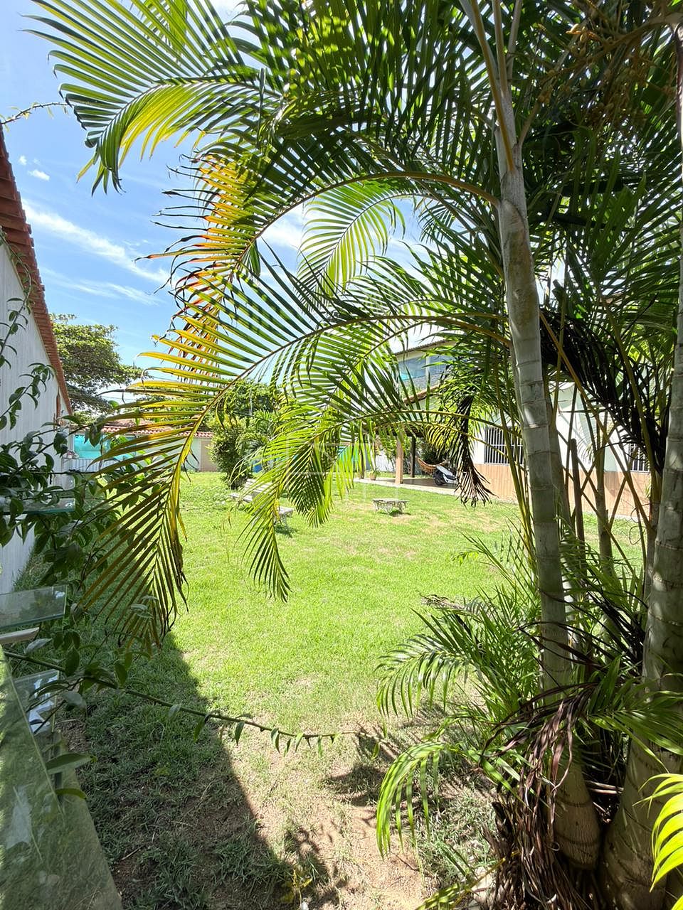 Casa, 3 quartos, 600 m² - Foto 29