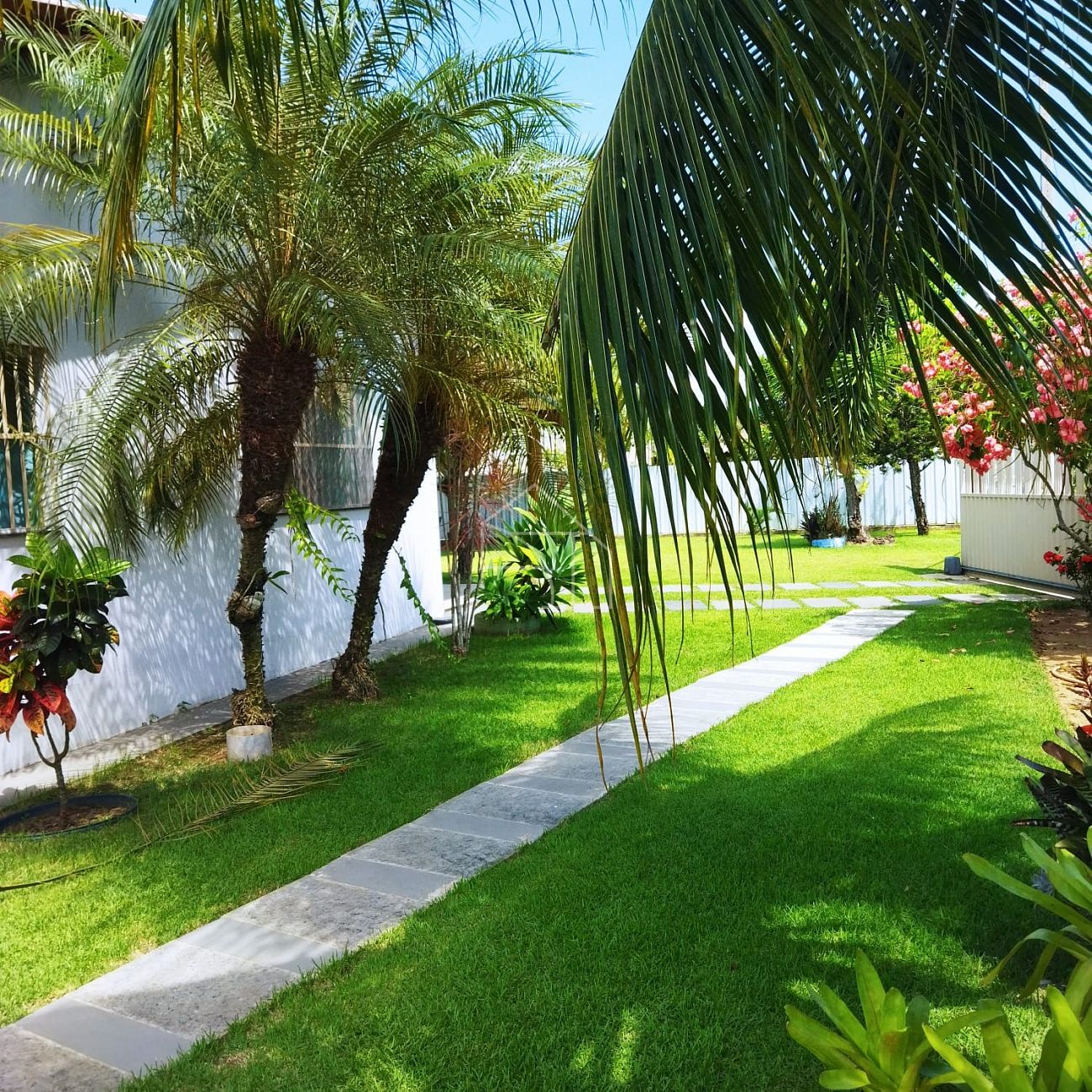 Chácara, 3 quartos, 3000 m² - Foto 12