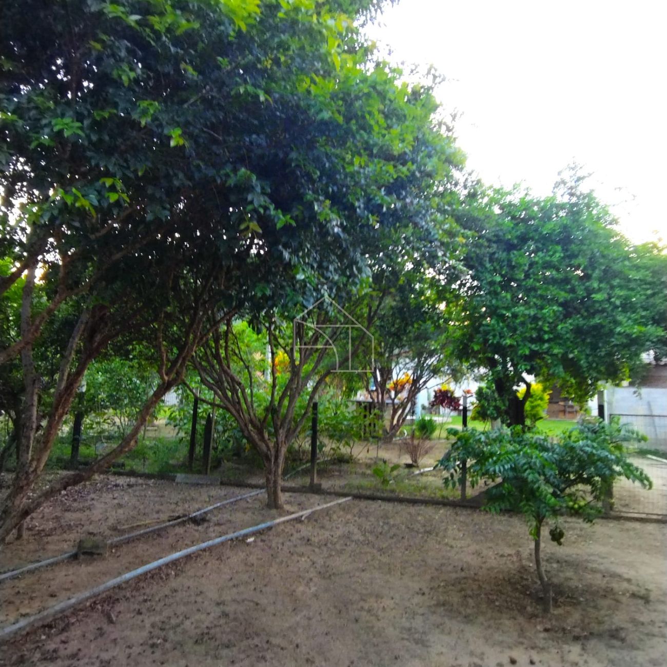 Chácara, 3 quartos, 3000 m² - Foto 39