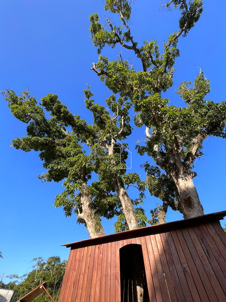 Terreno, 360 m² - Foto 5