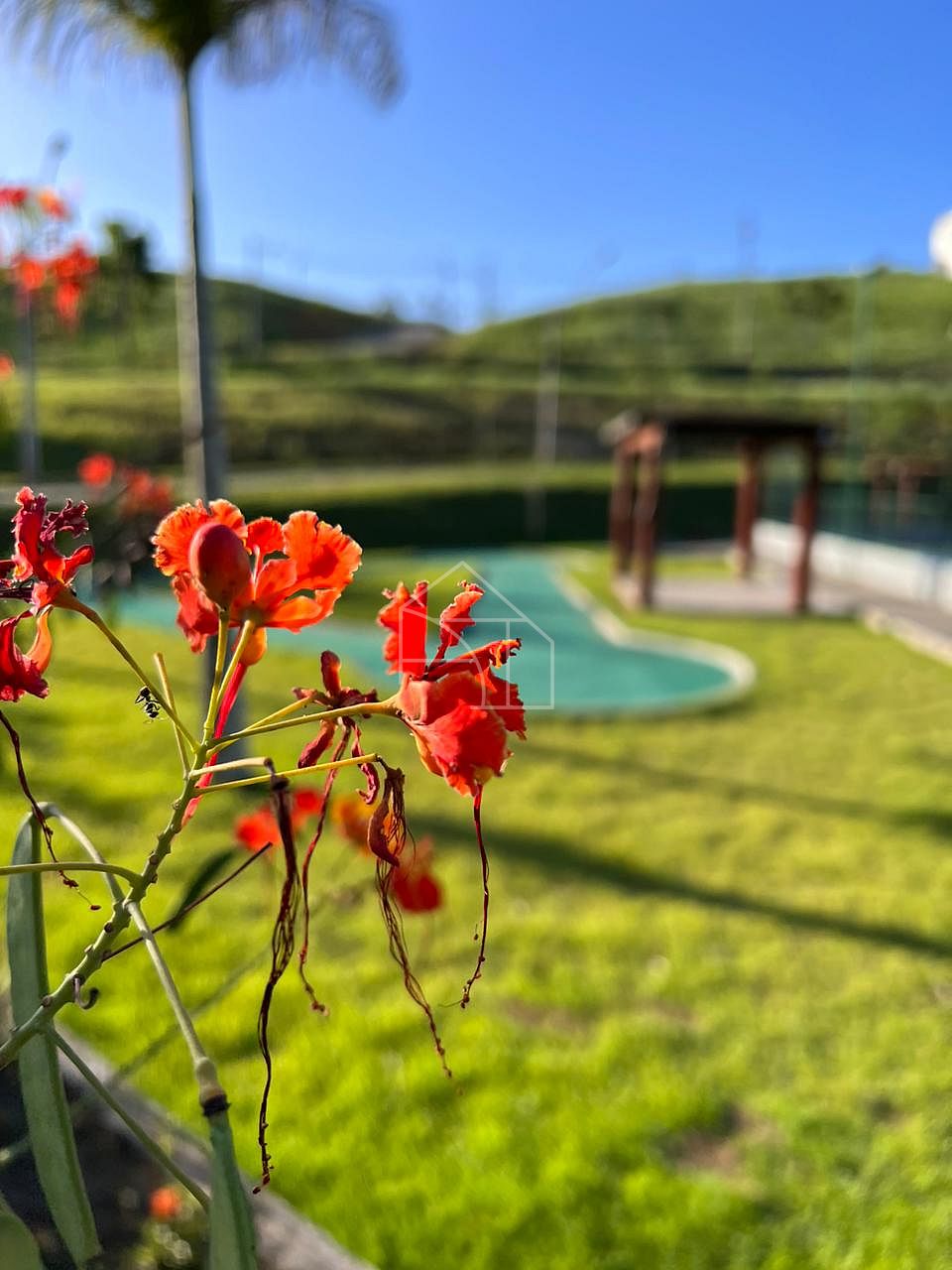Terreno, 360 m² - Foto 8