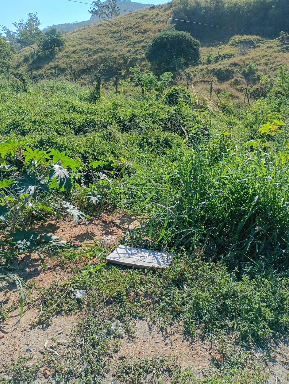 Loteamento e Condomínio, 3 hectares - Foto 13