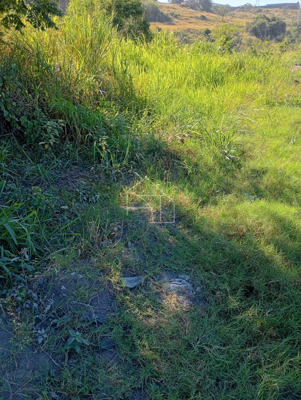 Loteamento e Condomínio, 3 hectares - Foto 12