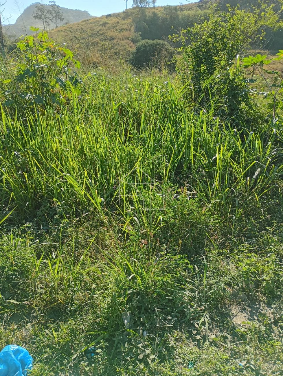 Loteamento e Condomínio, 3 hectares - Foto 9