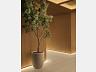 Portaria do lobby do Ryokan Flamboyant
