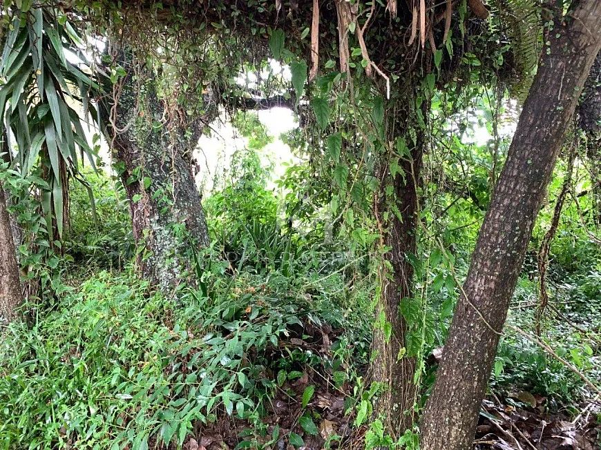 Terreno plano à venda em Jurerê Internacional, Florianópolis