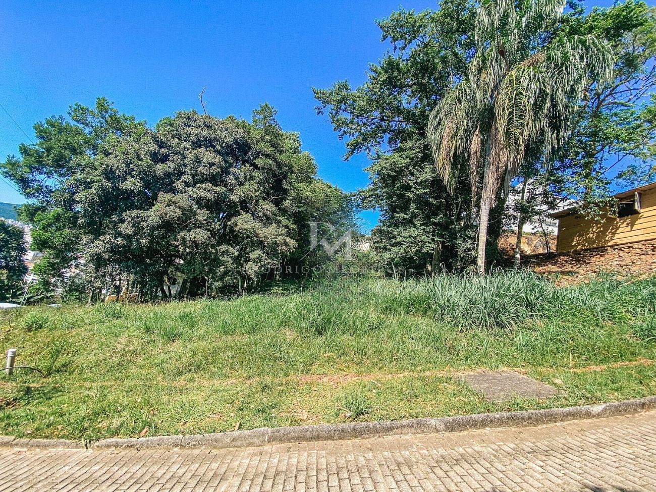 Terreno - Córrego Grande, Florianópolis/SC