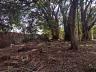 Terreno � venda em S�o Miguel, Bigua�u 1